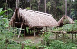 Yanomami Jagd-Lager