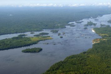 Amazonas-Flusslandschaft