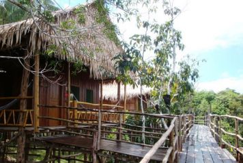 Dschungel-Lodge
