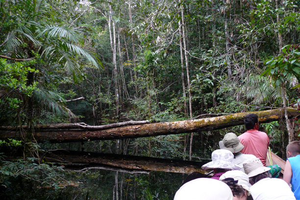 Amazonien: Ein erster intensiver Kontakt