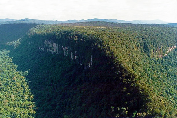 Mount Caburaí