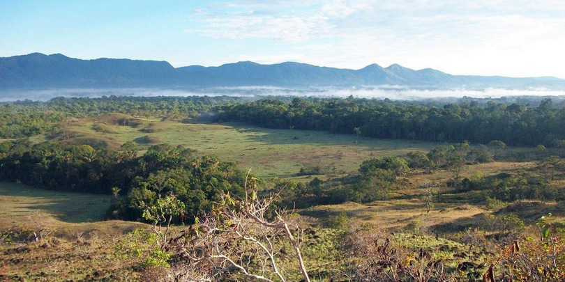 Roraima Landschaft auf dem Weg zum Monte Caburaí