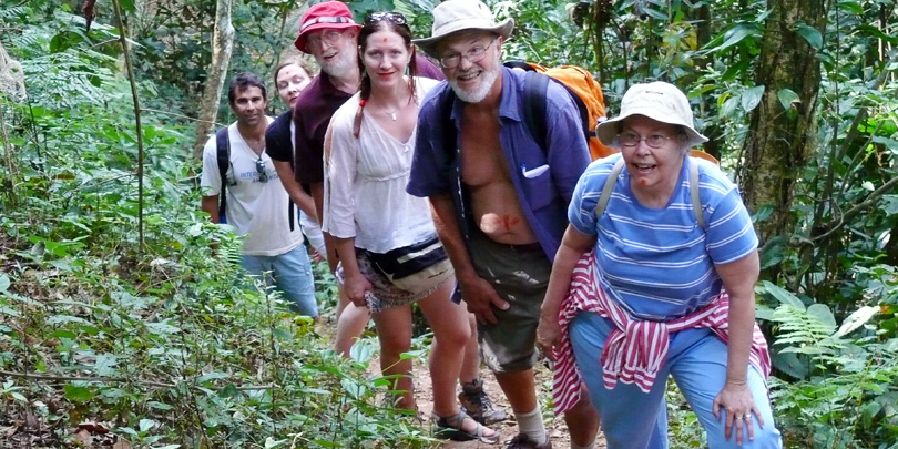 Wandern durch den tropischen Bergregenwald Brasiliens