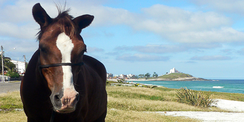 Mit dem Pferd am Strand von Saquarema
